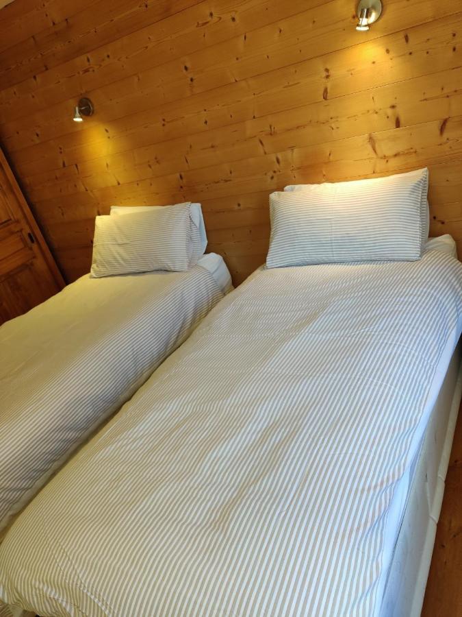 Spacious Ski Chalet In Traditional French Village, Sleeps 8, Four Star With Fibre Broadband 아봉당스 외부 사진